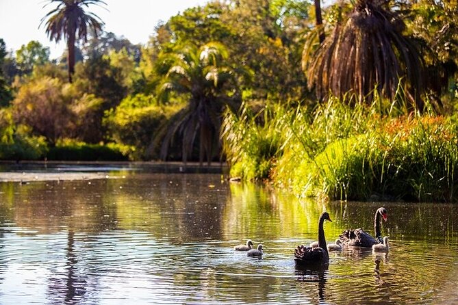 The Explorer - Melbourne Gardens - On board: comfort, photos, and an eco-friendly ride
