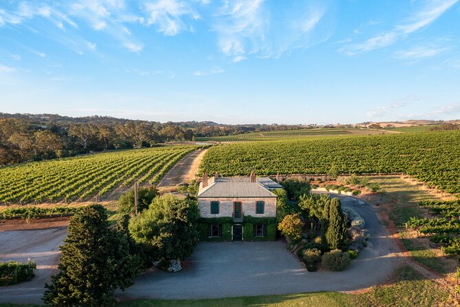 The Florita Wine Tasting Experience - Key highlights to look for