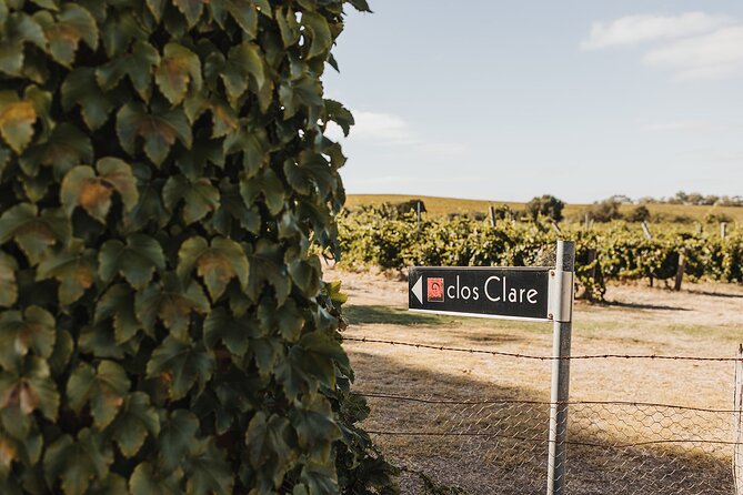 The Florita Wine Tasting Experience - Jim Barry Wines in Clare: where the view sets expectations