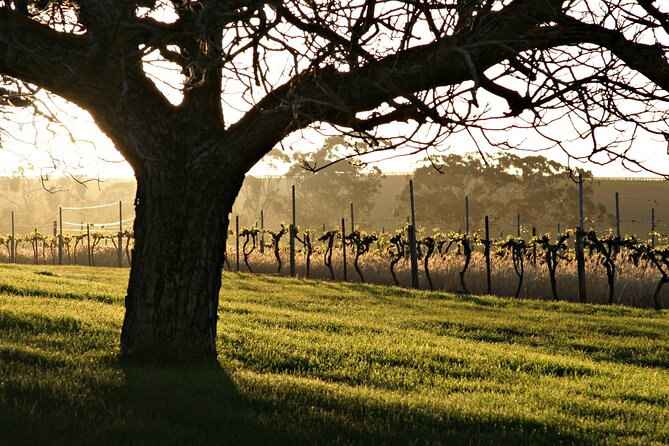 The Florita Wine Tasting Experience - The back-vintage tasting in the private room: why it’s worth the wait