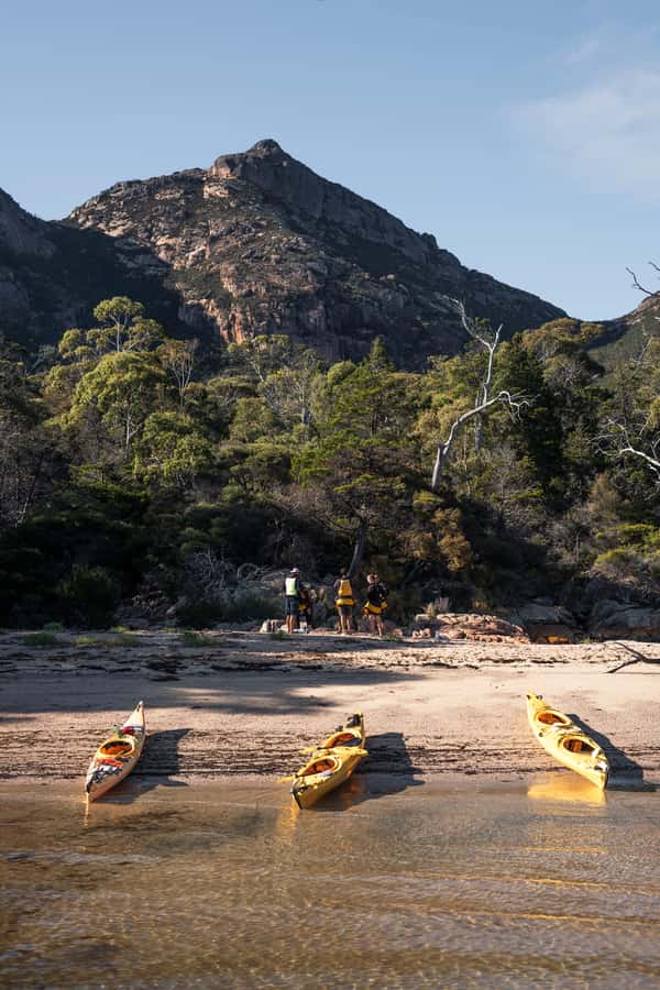 The Freycinet Paddle Kayak Tour - Key highlights at a glance