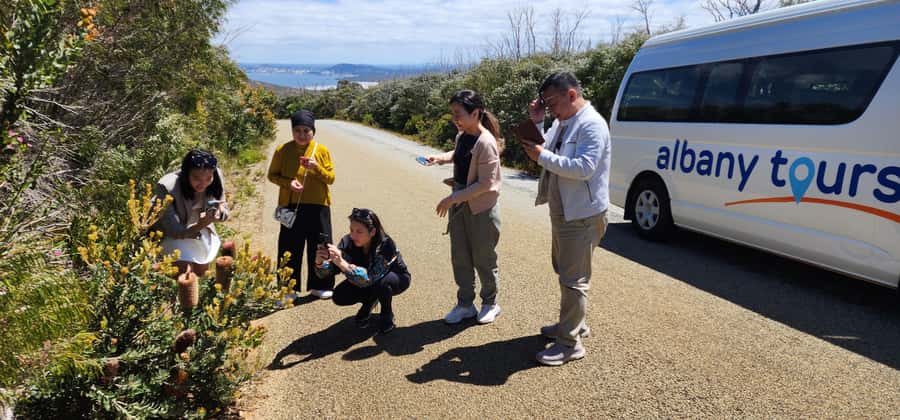 The Gap & Natural Wonders Tour - Should you book the Gap & Natural Wonders Tour?