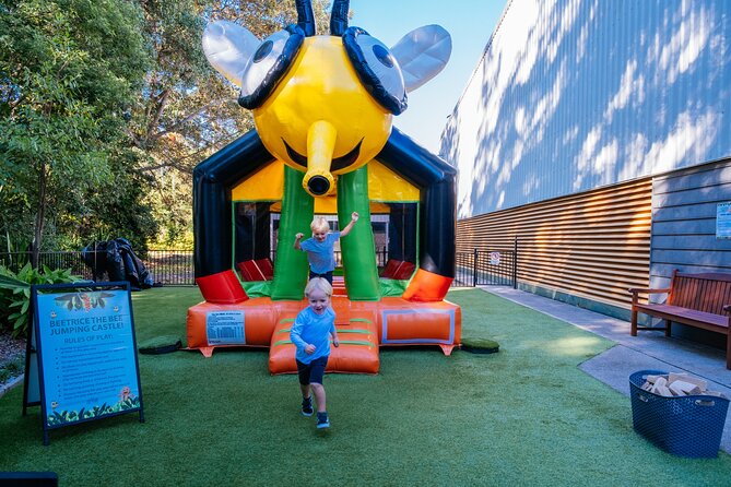 The Ginger Factory - Play All Day Bundle Unlimited Rides - Bee-Trice jumping castle: the energy release button