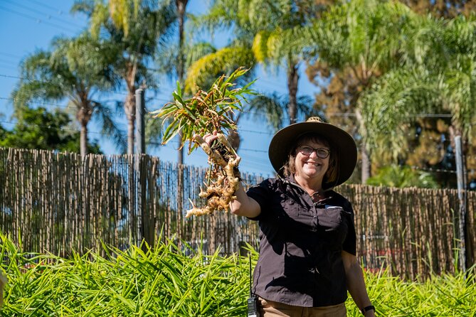 The Ginger Factory Play, Taste & Discover Bundle Experience - The 120-year-old Ginger Train through the botanical gardens