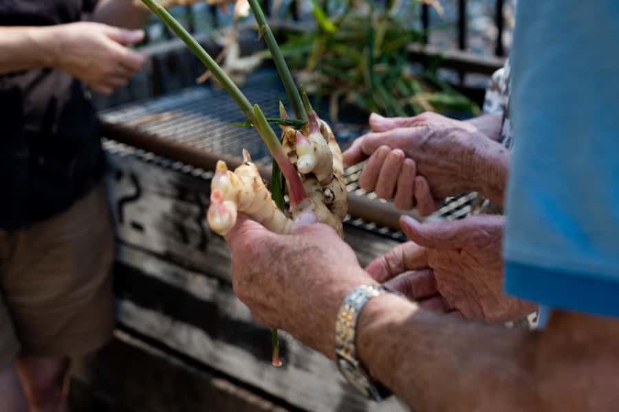 The Sunshine Coast: The Ginger Factory Tour & Tasting - Key highlights that make this tour worth your time