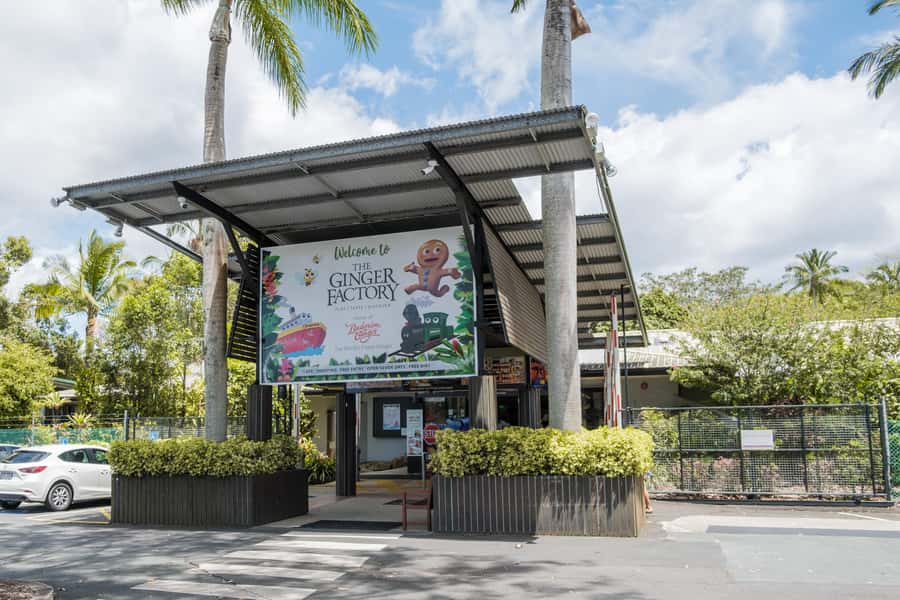 The Sunshine Coast: The Ginger Factory Tour & Tasting - The 40-minute working factory tour: what you actually see and learn