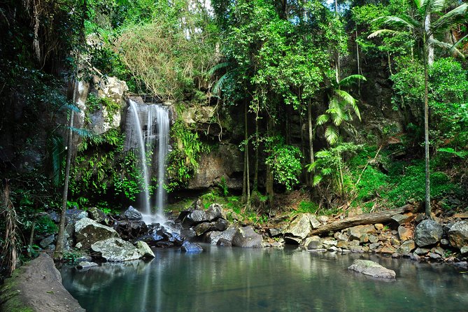 The Tastes of Tamborine Mountain - Key highlights you’ll actually care about