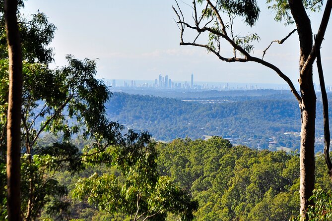 The Tastes of Tamborine Mountain - Distillery Tour: Spirits, Stories, and a Proper Tasting