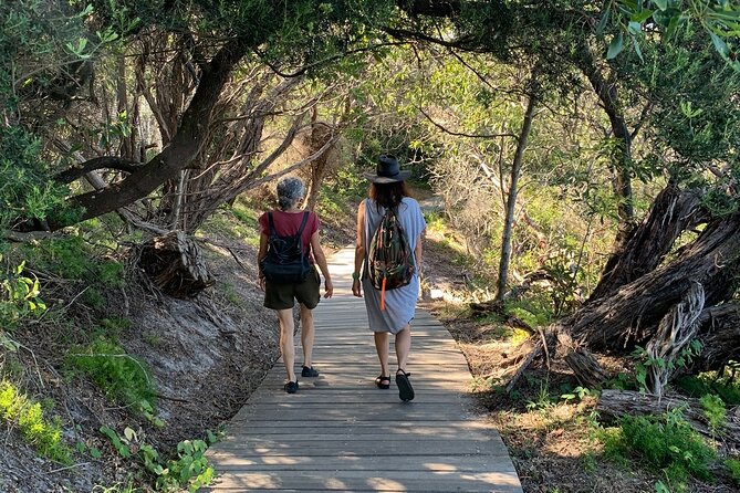 The Top Ten Hidden Harbour Beaches Tour with Jen - Getting your bearings fast without losing the fun