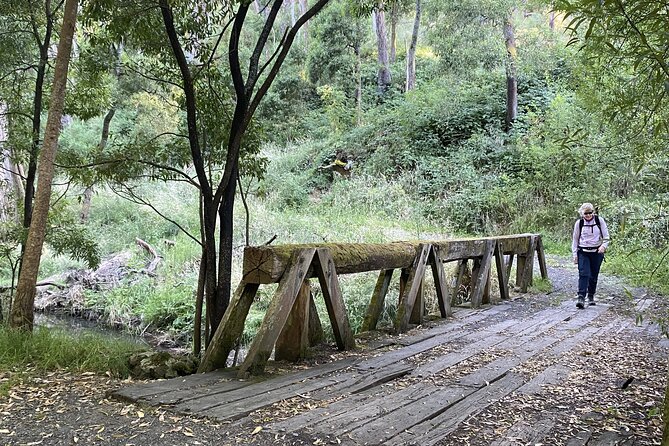 Tiger Experience at Melbourne Zoo - excl. entry - Where to start at Elliott Ave and how the small group feels