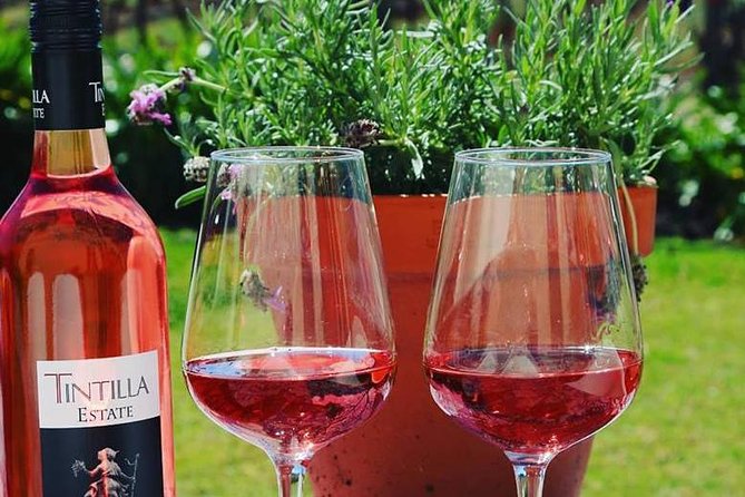 Tintilla Estate: Wine Tasting with a Meat and Cheese Platter - 1-hour wine and food on the Tintilla Estate deck