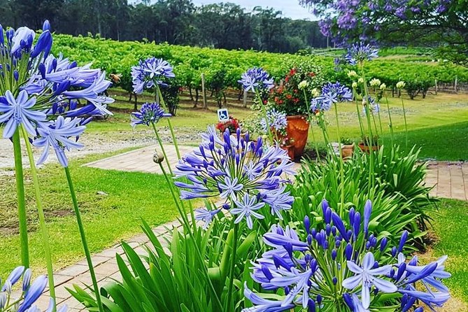 Tintilla Estate: Wine Tasting with a Meat and Cheese Platter - Estate olives and the small flavor detour