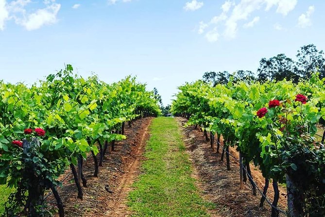 Tintilla Estate: Wine Tasting with a Meat and Cheese Platter - Best for couples, groups, and food-focused wine lovers