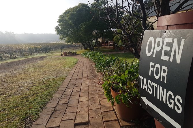 Tintilla Estate: Wine Tasting with a Meat and Cheese Platter - Practical tips to make your tasting smoother