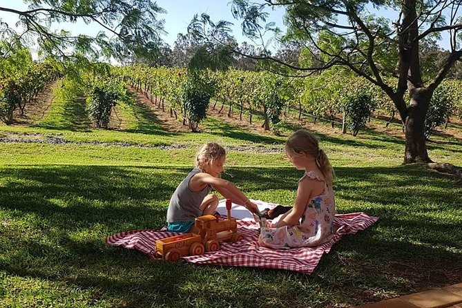 Tintilla Estate: Wine Tasting with a Meat and Cheese Platter - Quick wrap-up: the overall vibe