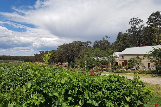 Tintilla Estate: Wine Tasting with a Meat and Cheese Platter - Wine + food pairing: the meat and cheese platter setup
