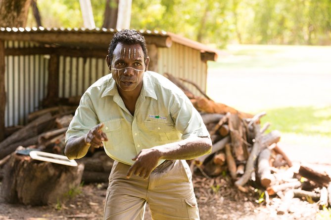 Tiwi Islands Cultural Experience from Darwin Including Ferry - Morning Ferry From Darwin: What Makes It Work
