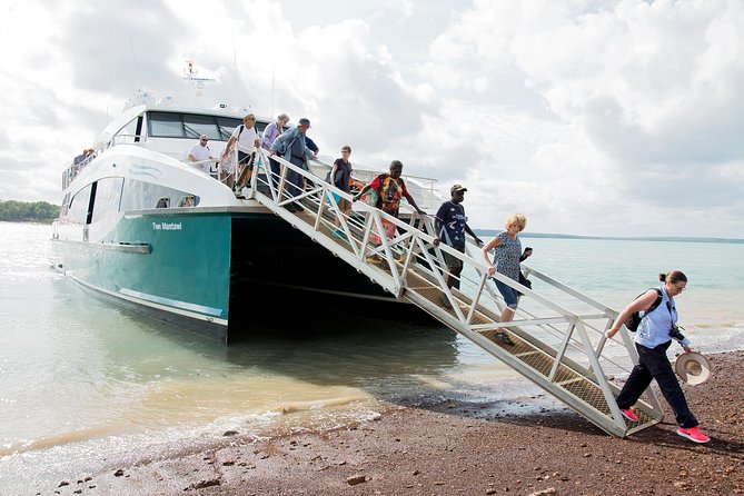 Tiwi Islands Cultural Experience from Darwin Including Ferry - Ferry Comfort, Timing, and Sound: Small Fixes That Help