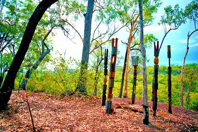 Tiwi Islands Cultural Experience from Darwin Including Ferry - Getting to Wurrumiyanga: A Local-Led Arrival, Not a Drive-By