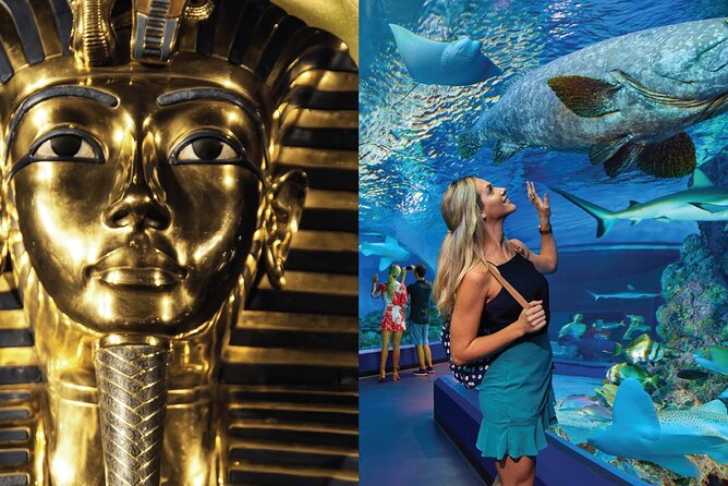 Tomb of the Pharaohs and Cairns Aquarium Combo - Key things I’d underline before you go