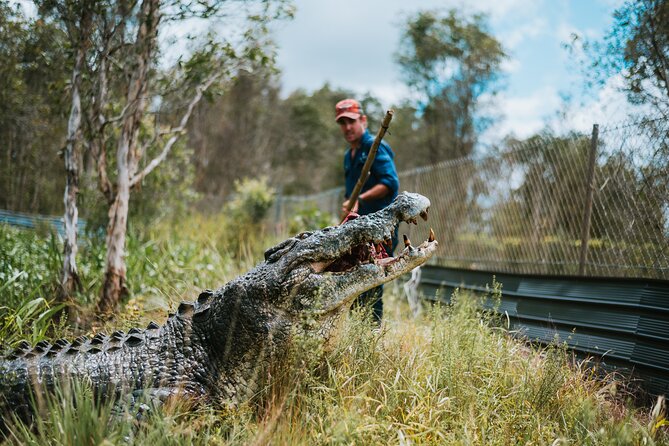 Top End Safari Camp Day Tour - Matt Wright’s rescue crocodiles: feeding time up close