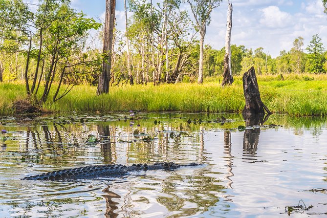 Top End Safari Camp Overnight Tour - Glamping at Top End Safari Camp: Dinner, Stars, and a Real Morning