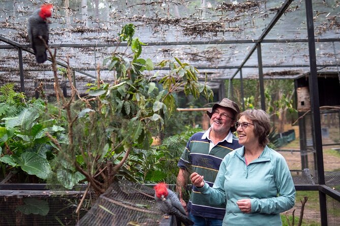 Tour from Eden to Merimbula Wetlands Wildlife and Coastline - Potoroo Palace: wildlife sanctuary time on your own