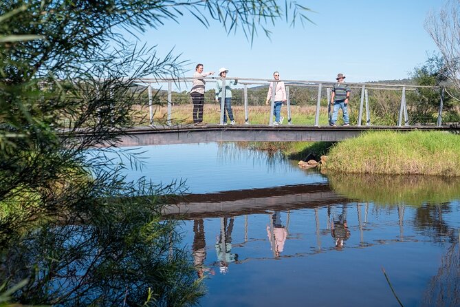 Tour from Eden to Merimbula Wetlands Wildlife and Coastline - Panboola Wetlands: conservation work you can walk alongside