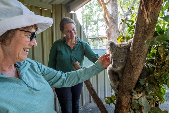 Tour from Eden to Merimbula Wetlands Wildlife and Coastline - Van comfort and guide energy: what you’ll notice on the ride