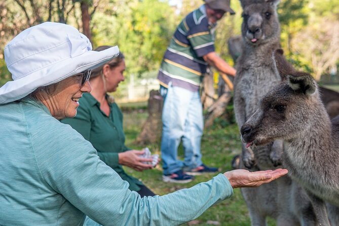 Tour from Eden to Merimbula Wetlands Wildlife and Coastline - Getting there from Eden Visitor Information Centre