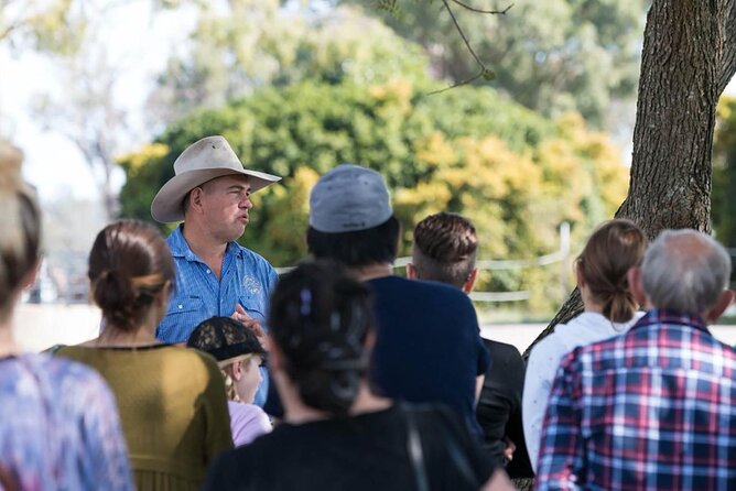 Tour, Taste & Camel Encounter - The camel encounter: learning trust, not just seeing animals