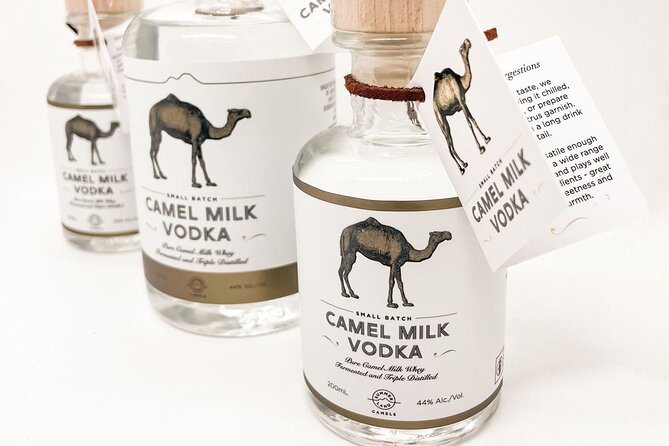 Tour, Taste & Camel Encounter - From camelchino to cheese and gelato: the dairy endgame
