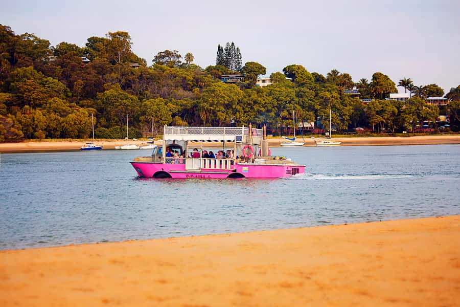 Town 1770: Afternoon Coastline Tour - Splashdown moment: the amphibious fun you can’t really fake