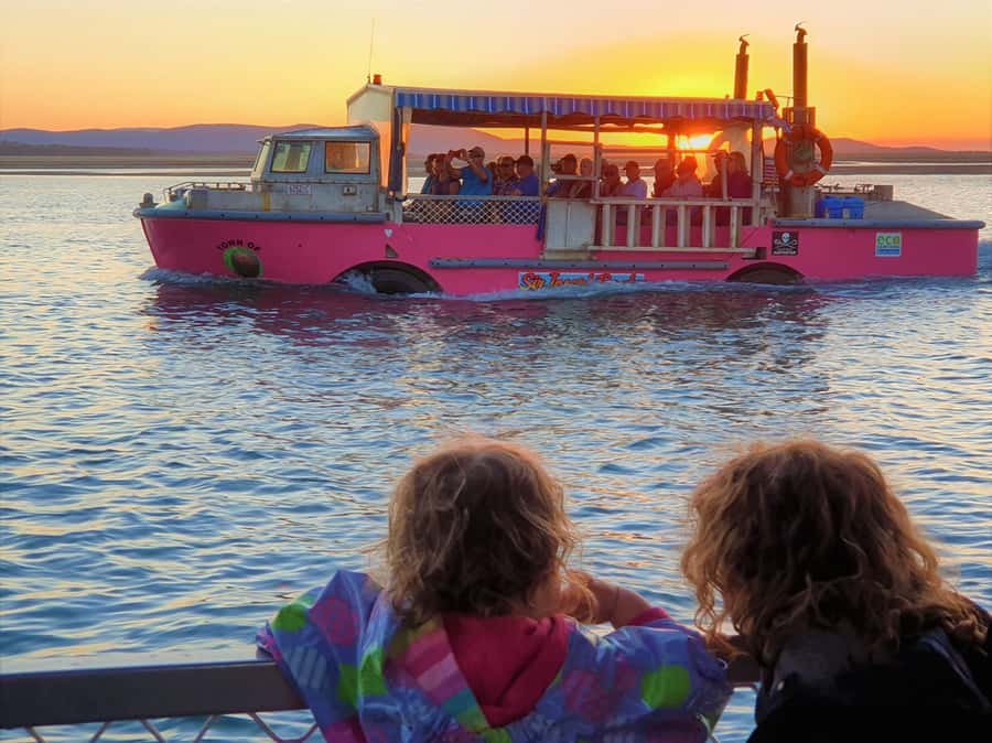 Town 1770: Afternoon Coastline Tour - Price and value: why $31 can feel surprisingly fair for an amphibious hour