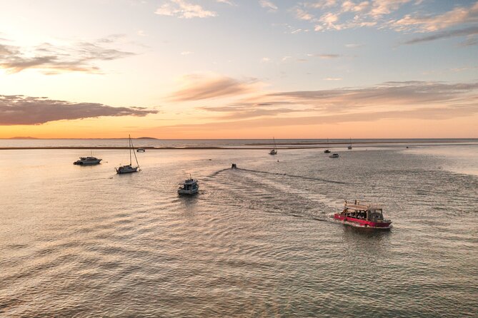 Town of 1770 Afternoon Cruise - Key Things to Know Before You Go