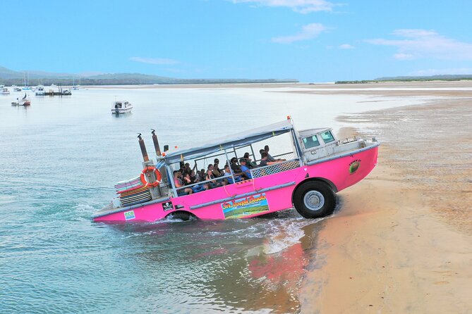 Town of 1770 Afternoon Cruise - Views and Photos: Getting the Best Angles Without Stress