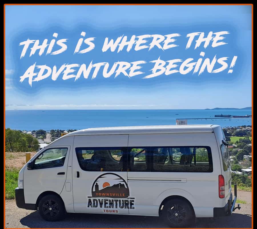 Townsville: Guided City Tour with Castle Hill Lookout - CBD street art: where to look and what to ask