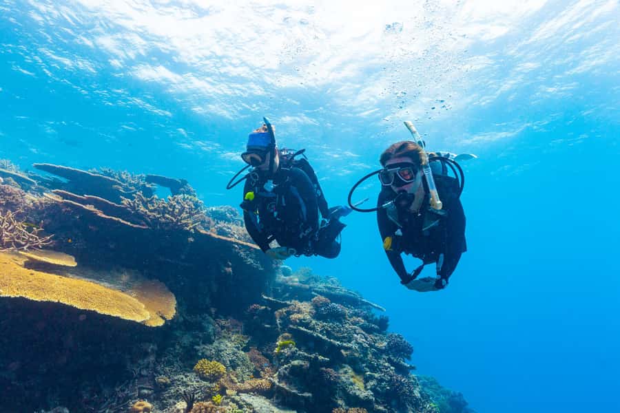 Townsville & Magnetic Island: MOUA & Reef Snorkel Experience - Lunch and the rhythm of the day: plan for a full stomach and a calm pace