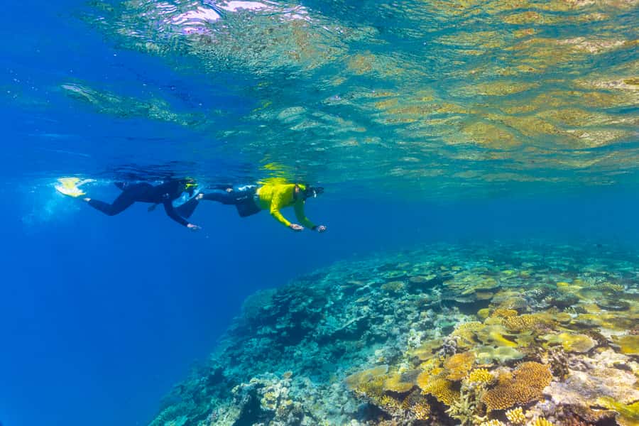 Townsville & Magnetic Island: MOUA & Reef Snorkel Experience - The custom day vessel and the 2.5-hour sail each way