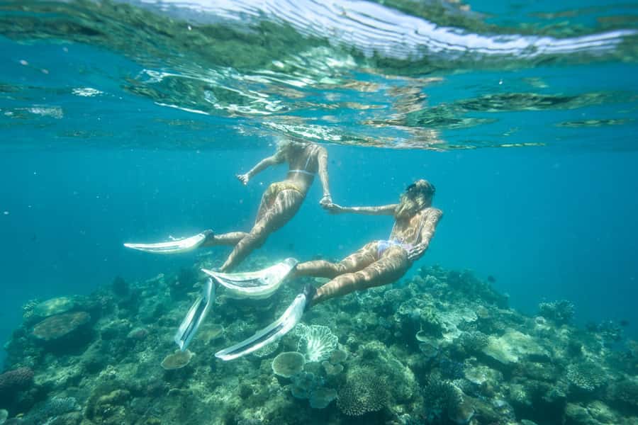 Townsville & Magnetic Island: Reef Explorer Snorkel Trip - Key points before you go
