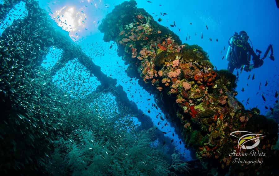 Townsville or Magnetic Island: Yongala Wreck Dive Day Trip - Price and what you’re actually paying for (A$346)