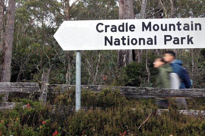 Transfer from Launceston to Cradle Mountain - Pickup in Launceston: airport or accommodation, and why that matters