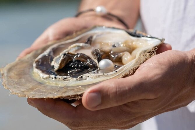 Treasures of Broome Tour - Mr Saigon lunch: Vietnamese flavors with a drink included