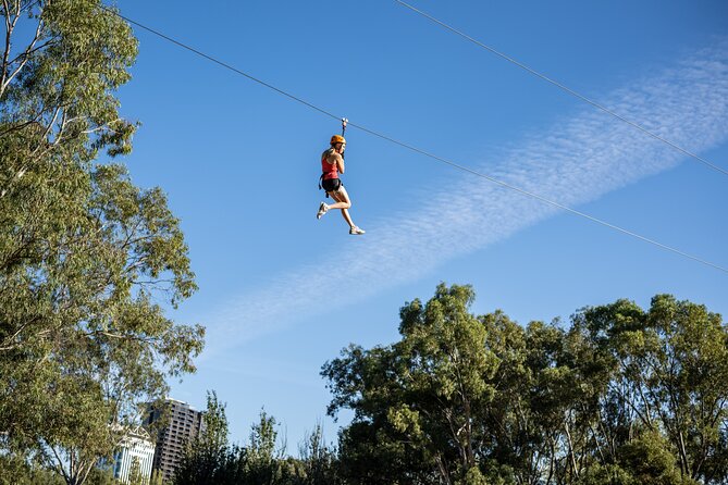 Tree Top Activity for Thrill Seekers and Adventurers in Adelaide - TreeClimb Adelaide at a Glance: What You’re Paying For