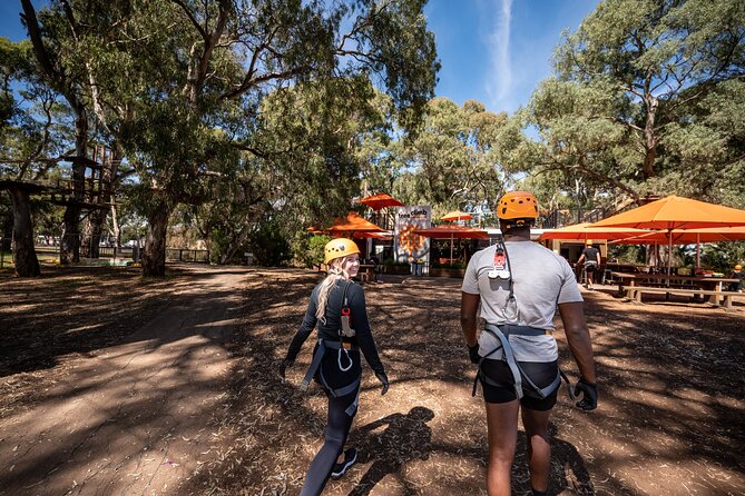 Tree Top Activity for Thrill Seekers and Adventurers in Adelaide - Should You Book TreeClimb Adelaide Grand Course?