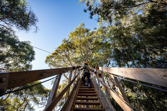 Tree Top Activity for Thrill Seekers and Adventurers in Adelaide - Gear Rules That Matter: Gloves, Shoes, and Hair