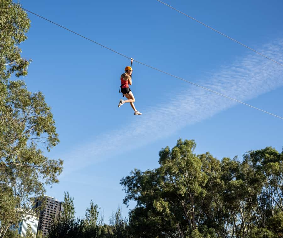 TreeClimb Adelaide: Thrilling Climb For Adventurers - Safety setup: harness, helmet, gloves, and the rules that matter