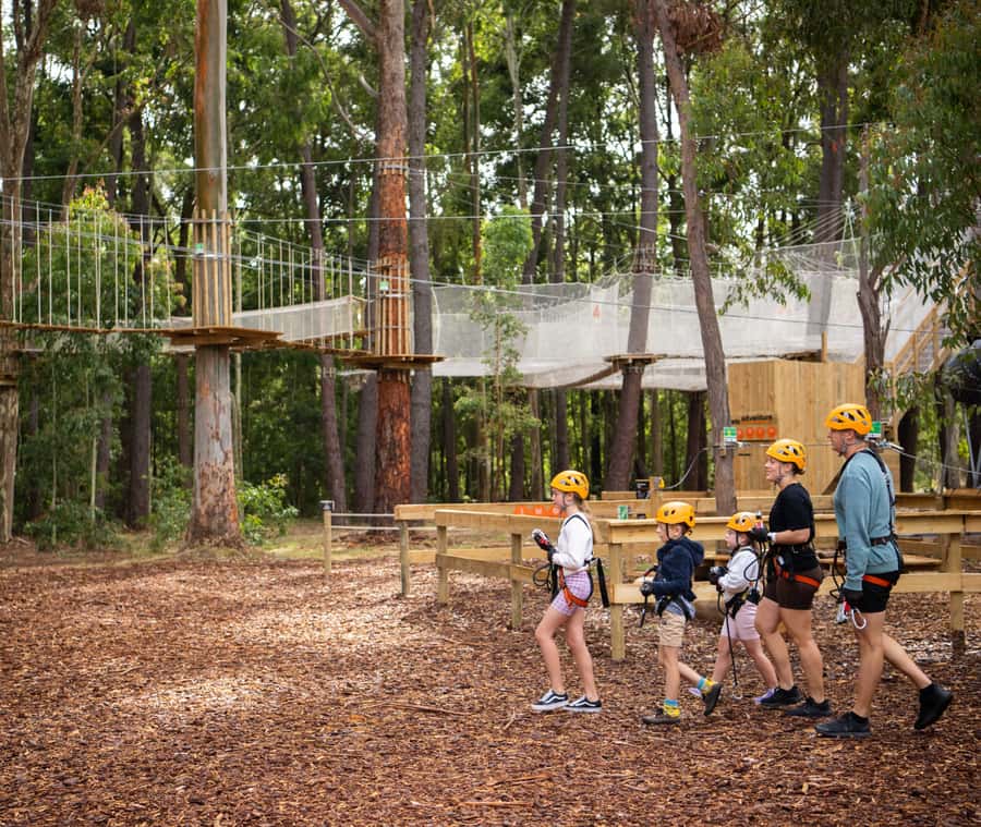 TreeClimb Kuitpo Forest: Exciting Treetop Climbing Adventure - Key things you’ll notice right away