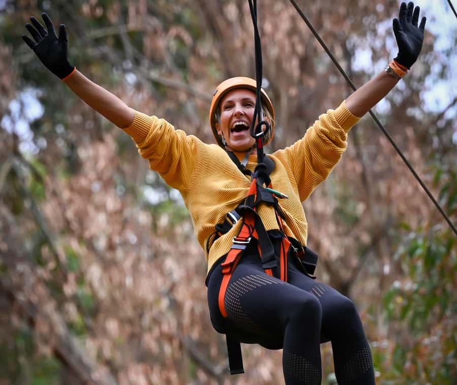 TreeClimb Kuitpo Forest: Exciting Treetop Climbing Adventure - What your 2 hours actually looks like on the Grand Course