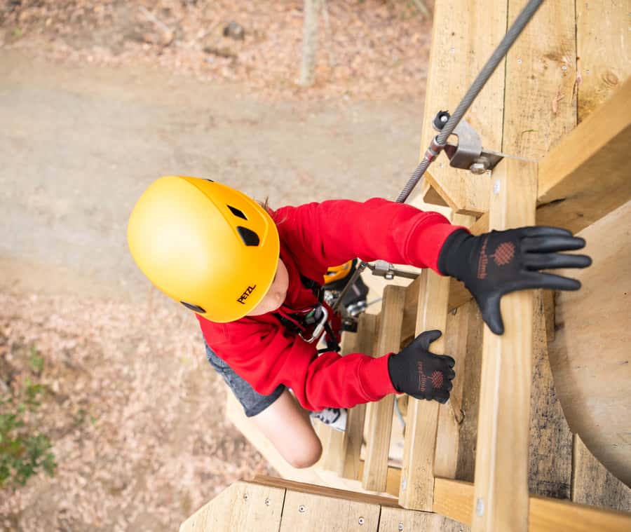 TreeClimb Kuitpo Forest: Exciting Treetop Climbing Adventure - Who this is for (and who should skip it)